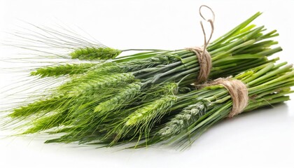 bundles of green meadow grass with spikelets isolated on white background