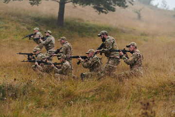 A disciplined and specialized military unit, donned in camouflage, strategically patrolling and...