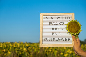 IN A WORLD FULL OF ROSES BE A SUNFLOWER text on white board next to sunflower field. Motivational...