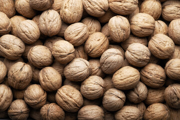 Heap of walnuts in shell, top view, close-up. - 728421829