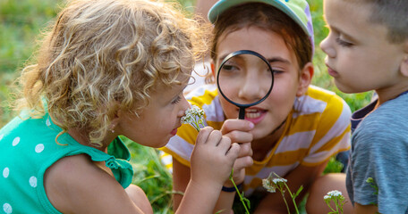 Children look through a magnifying glass together at the plants in the garden. Selective focus.