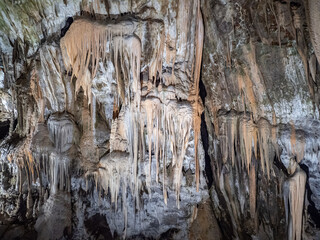The cave Postojna Cave in Slovenia
