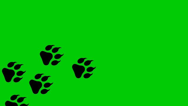 animated illustration of animal footprints on a green screen
