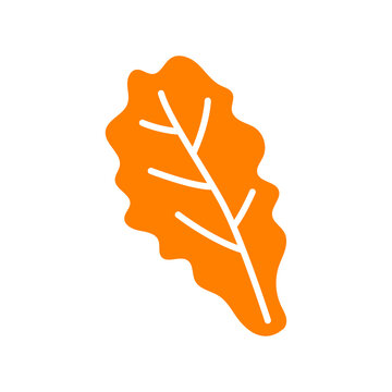 Naklejki Cabbage kimchi icon vector isolated. korean dish doodle icon, vector illustration 