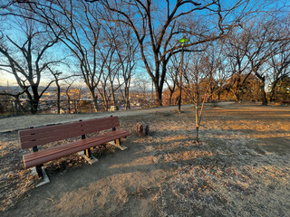 栃木佐野 城山公園の風景