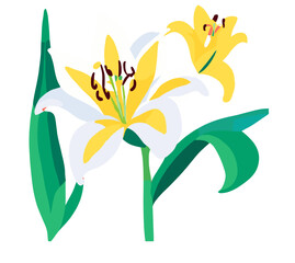 hand drawn flower