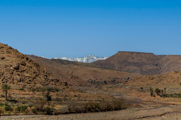 Snow covered Atlas Mountains and pine forest between Marrakesh and Ouarzazate.