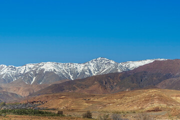 Snow covered Atlas Mountains and pine forest between Marrakesh and Ouarzazate.