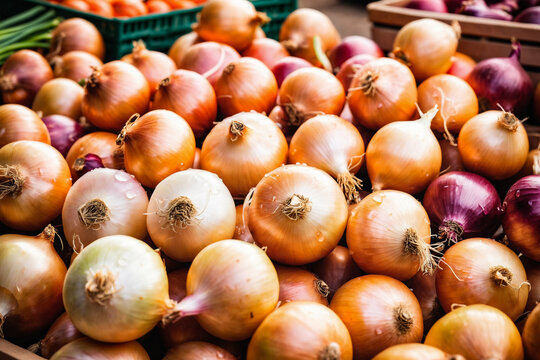 onions in the market