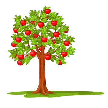 tree with  red apples