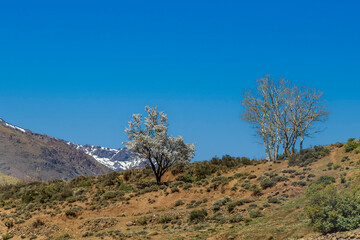 Obraz premium Landscapes and rock formations of the High Atlas towards the Tizi n'Tichka pass, between Marrakech and Ouarzazate.