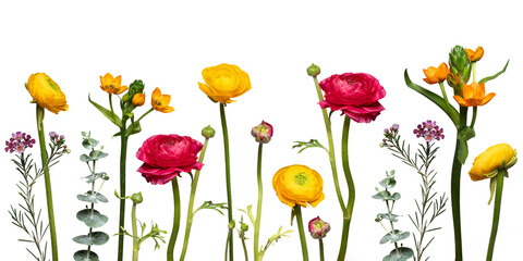 bunte, gelbe und rote farbenfrohe, fröhliche Blumen nebeneinander in einer Reihe freigestellt vor weißem Hintergrund. Platz für Text