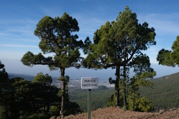 Mountain view with board with inscription National Park and canary pines during trekking from...