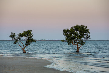 maputo city sunset on the beach nr 5