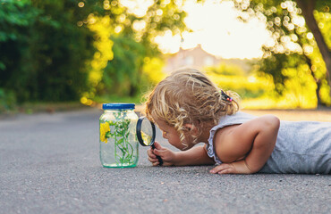 A child looks into a jar with a magnifying glass. Selective focus.