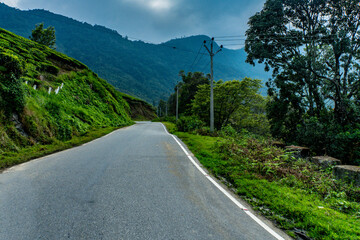 Fototapeta na wymiar Green tea plantations in Munnar, Kerala, India stock photo 