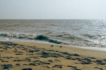 Alappuzha Beach is a beach in Alappuzha (Alleppey beach) town and a tourist attraction in Kerala, India