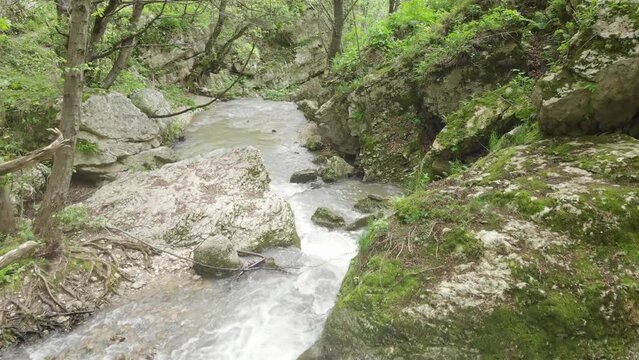 Caucasus, North Ossetia. Midagrabin gorge. Stream in a mountain forest.