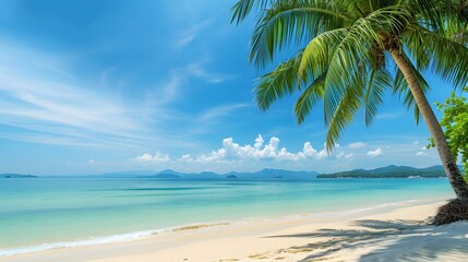Tropical beach with Coconut tree during a sunny day, palm tree. summertime, coastline sandy beach, blue sky view. copy space, mockup.