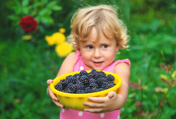 A child in the garden eats blackberries. Selective focus.