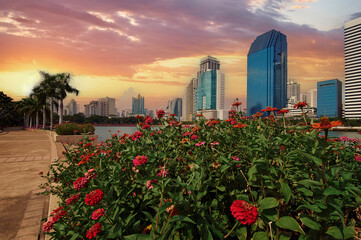 Bangkok. View from Benjakiti park on the city towers on sunset