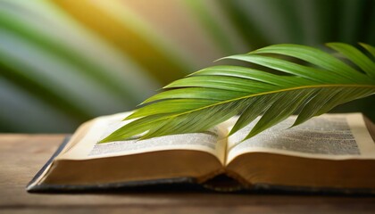 Palm Sunday. The Green Palm Laying On The Bible - obrazy, fototapety, plakaty