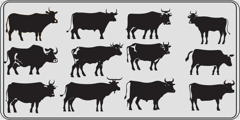 Set of cows. Black silhouette cow isolated on white. Hand drawn vector illustration design