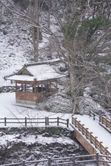 積雪の美霞洞渓谷2024【香川県仲多度郡まんのう町】2