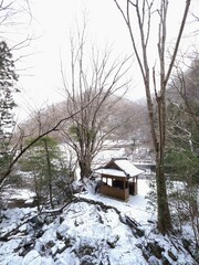 積雪の美霞洞渓谷・道の駅ことなみ【香川県仲多度郡まんのう町】8