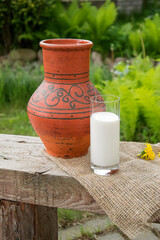 A glass of milk next to a clay jug in patterns. Country style. Summer.