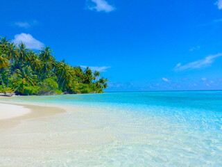 Beautiful landscape from tropical island in Maldives