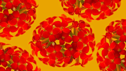 Pattern of inflorescences of red flowers with a yellow background