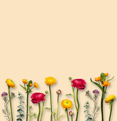 bunte, gelbe und rote farbenfrohe, fröhliche Blumen nebeneinander in einer Reihe freigestellt vor gelb Hintergrund. Platz für Text und copy space