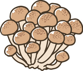 しめじ