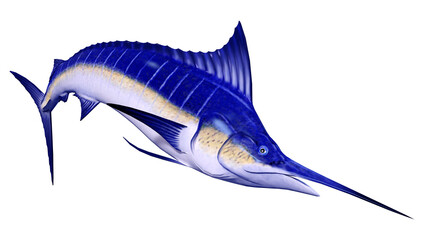 3D Rendering Marlin Fish on White