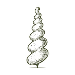 Sketch of topiary conifers. Sheared thuja sphere. Geometric trees for advertising and landscape design. Isolated on white background. Vector 