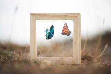 surreal meeting between two butterflies splits from a glass of a frame, concept of life - 728480019