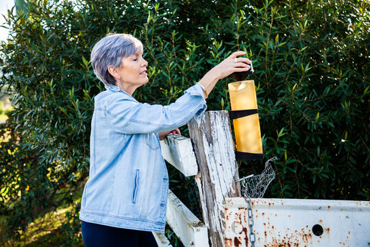 Senior woman checking rain gauge on fence