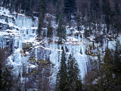 Wunderschöner Winterwald mit Eiszapfen und Schnee am Berg im Bayerischen Wald am Großen Arbersee. Konzept für Natur, Tourismus und Reisen in Bayern, Deutschland