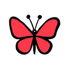 butterfly isolated on white background