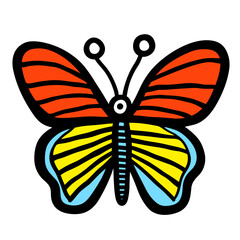 butterfly isolated on white background