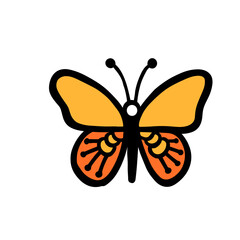 butterfly isolated on white background