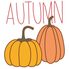 pumpkin on white background