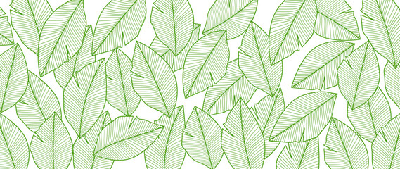 Tropical leaf wallpaper, luxury botanical nature leaf design, vector background with green banana leaf lines. Hand drawn, suitable for fabric design, print, cover, banner and invitations.	