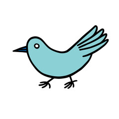blue bird