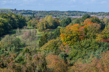 lickey hills country park west midlands england uk