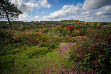 Naklejka premium lickey hills country park west midlands england uk
