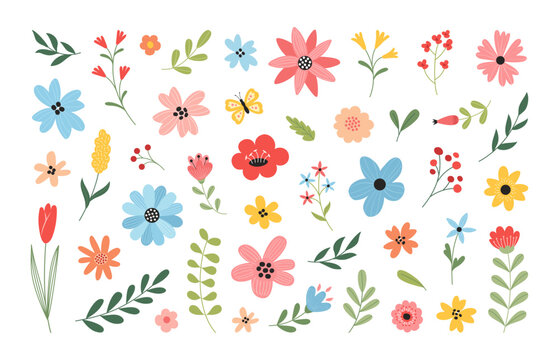 Beautiful spring and summer flowers set. Leaves, plants, branches, floral bouquets. Vector illustration.