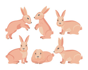 Obraz na płótnie Canvas Set of cute Easter bunnies in different poses. Animal illustration, vector