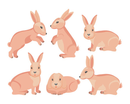 Set of cute Easter bunnies in different poses. Animal illustration, vector